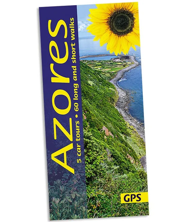 Sunflower - Landscape Series - Azores