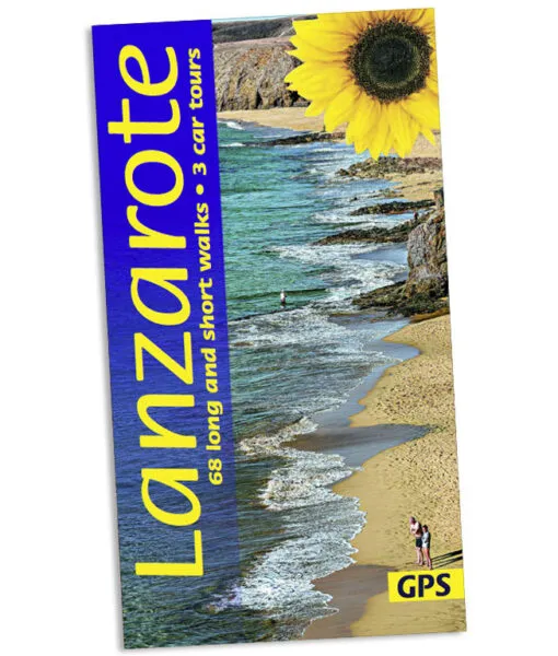 Sunflower - Landscape Series - Lanzarote - Image 2