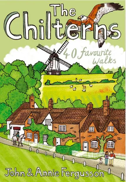 Pocket Mountains - The Chilterns - Image 2