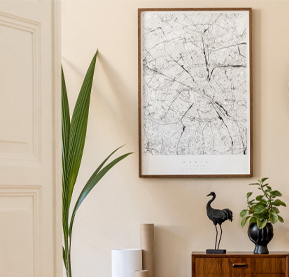 Decorative & Reference Maps