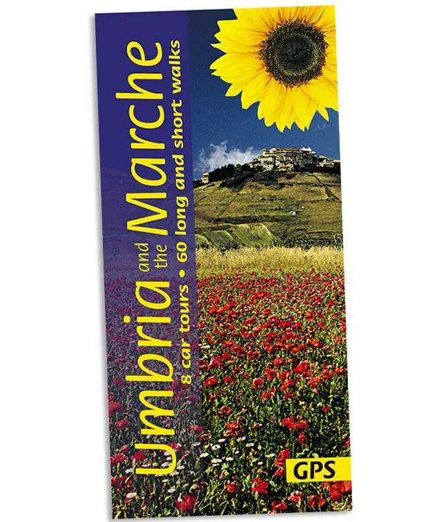 Sunflower - Landscape Series - Umbria & The Marche