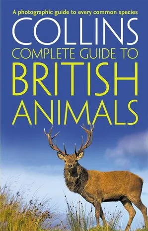 Collins - Complete Guide To British Animals - Image 2