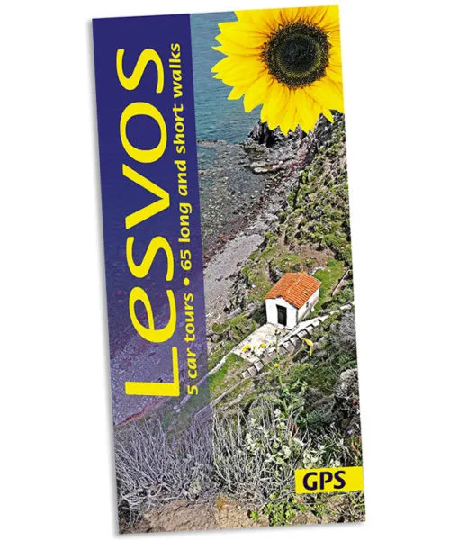 Sunflower - Landscape Series - Lezvos - Image 2