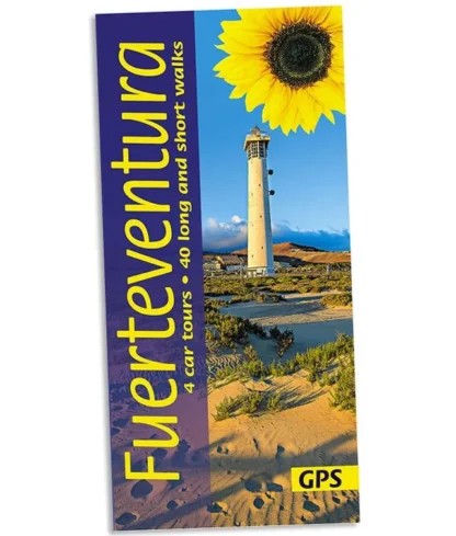 Sunflower - Landscape Series - Fuerteventura