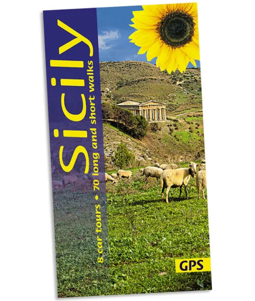 Sunflower - Landscape Series - Sicily - Image 2